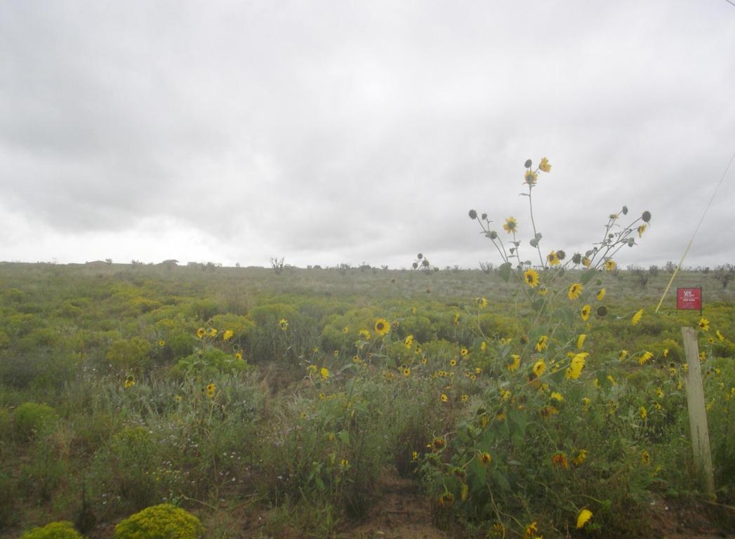 2,5 & 6 Jazmin Court, Edgewood, NM 87015