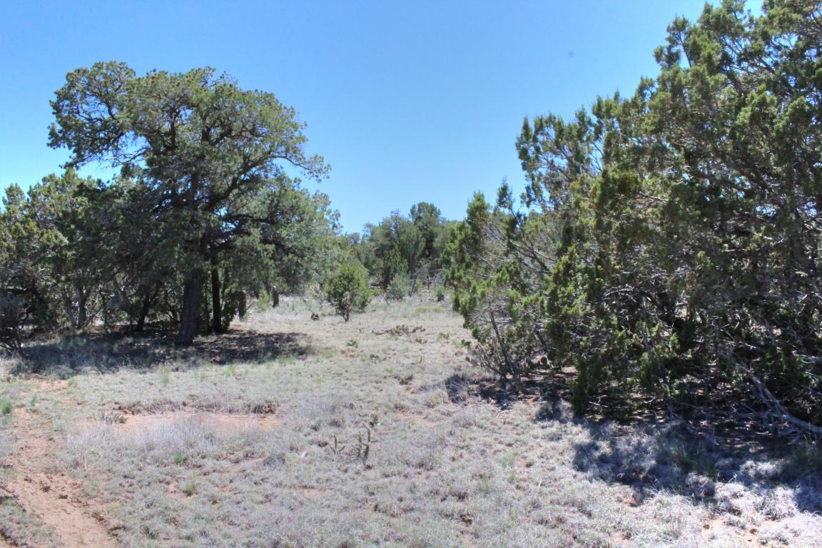 Las Colinas Road, Edgewood, NM 87015
