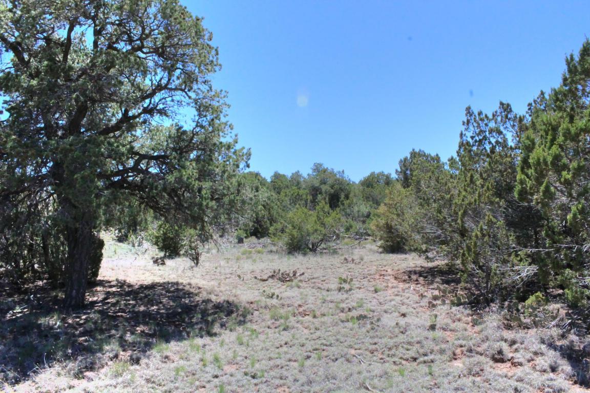 Las Colinas Road, Edgewood, NM 87015