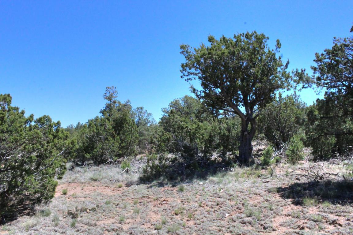 Las Colinas Road, Edgewood, NM 87015