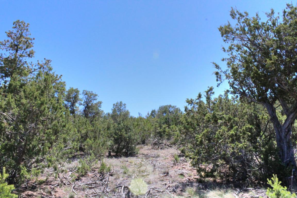 Las Colinas Road, Edgewood, NM 87015