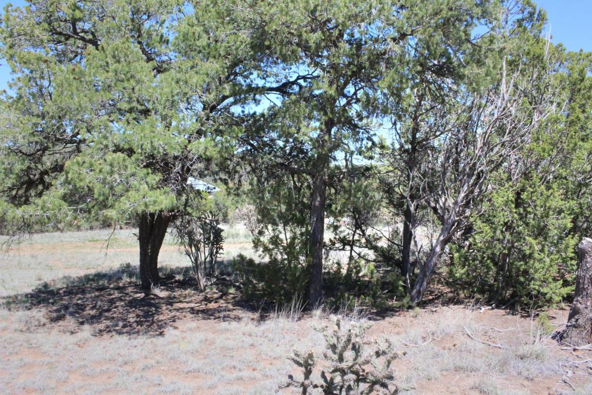 Las Colinas Road, Edgewood, NM 87015