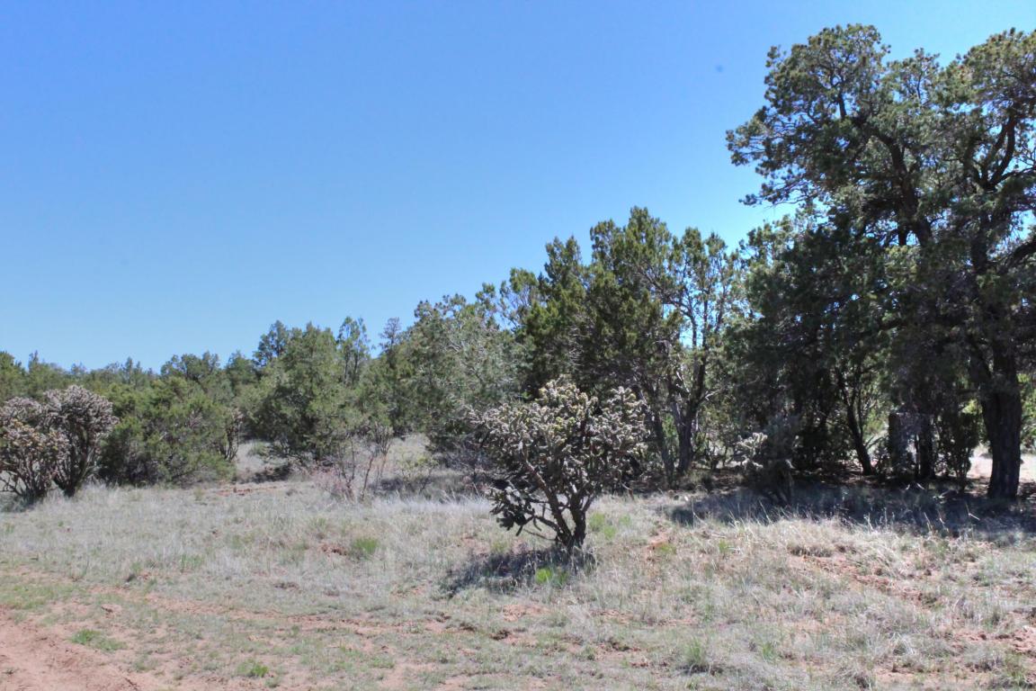 Las Colinas Road, Edgewood, NM 87015
