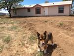 38 QUIET VALLEY LOOP ,NM, Edgewood, 87015