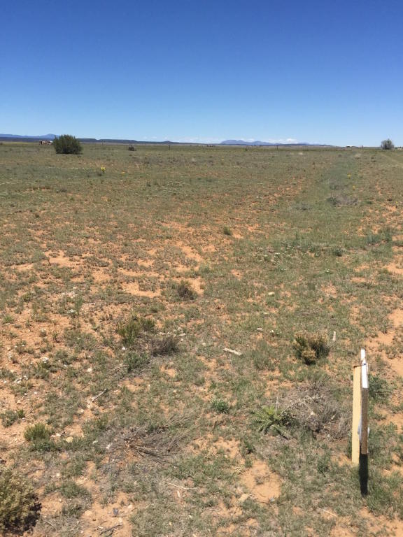 Villa Rancho Road, Estancia, NM 87016