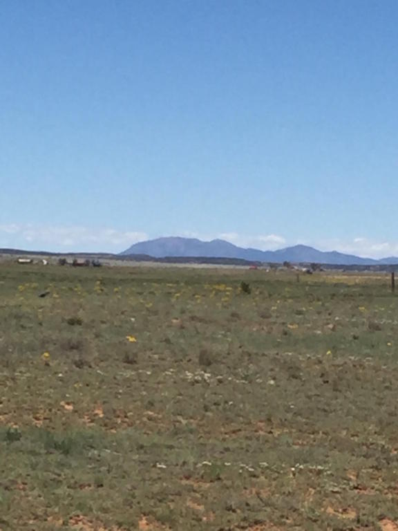 Villa Rancho Road, Estancia, NM 87016