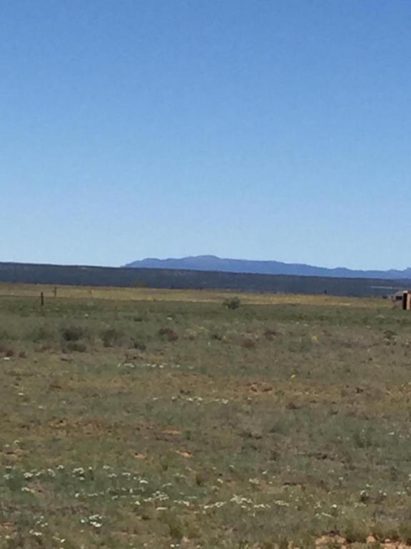 Villa Rancho Road, Estancia, NM 87016