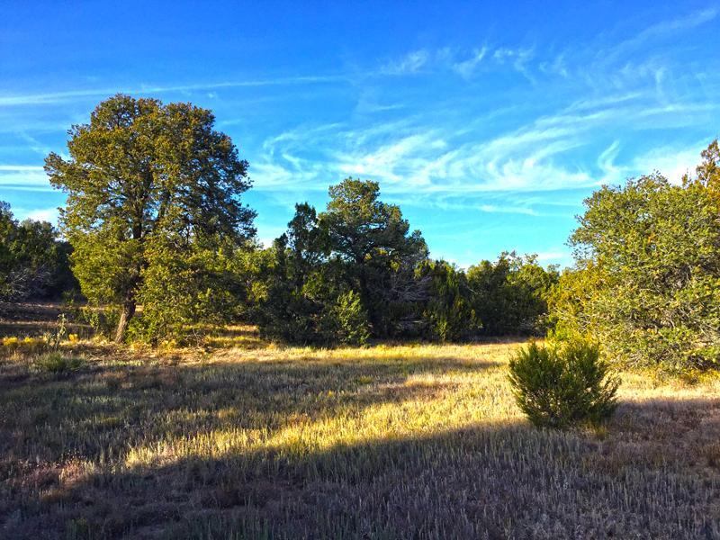 0 Oakwood Loop, Tajique, NM 87016