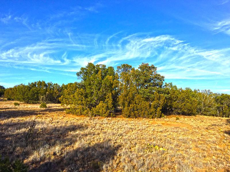 0 Oakwood Loop, Tajique, NM 87016