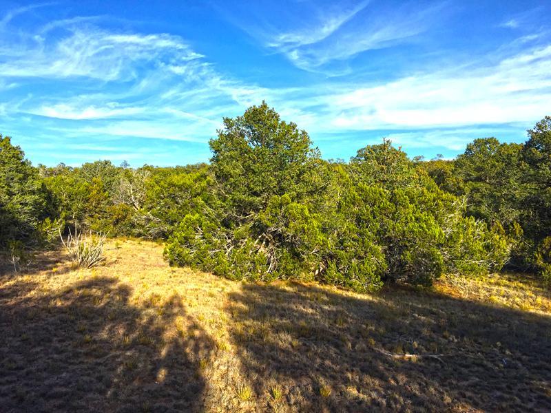 0 Oakwood Loop, Tajique, NM 87016