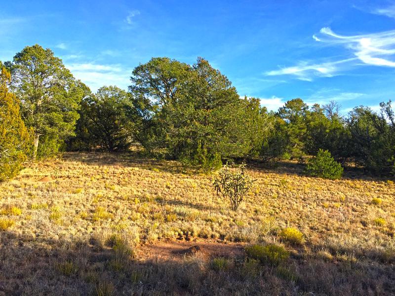 0 Oakwood Loop, Tajique, NM 87016