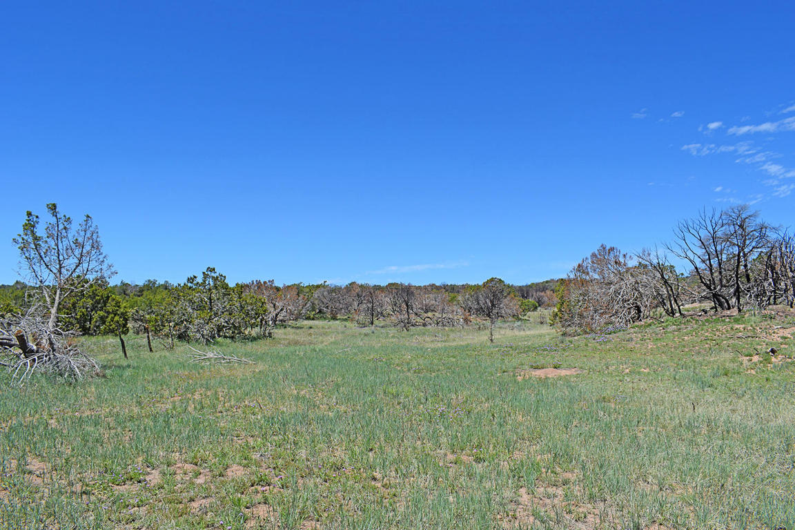 Manzano Morning Unit 1 Lot 15, Tajique, NM 87016