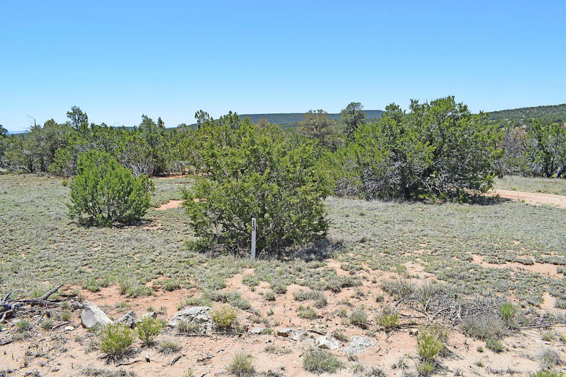 Manzano Morning Unit 1 Lot 15, Tajique, NM 87016
