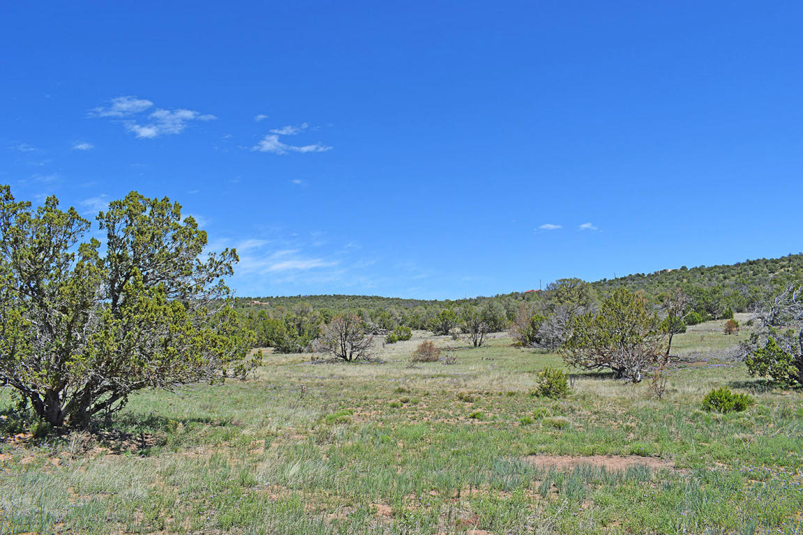 Manzano Morning Unit 1 Lot 15, Tajique, NM 87016