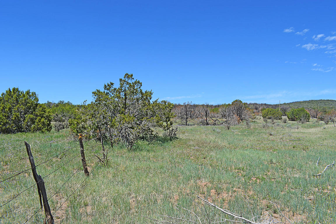 Manzano Morning Unit 1 Lot 15, Tajique, NM 87016