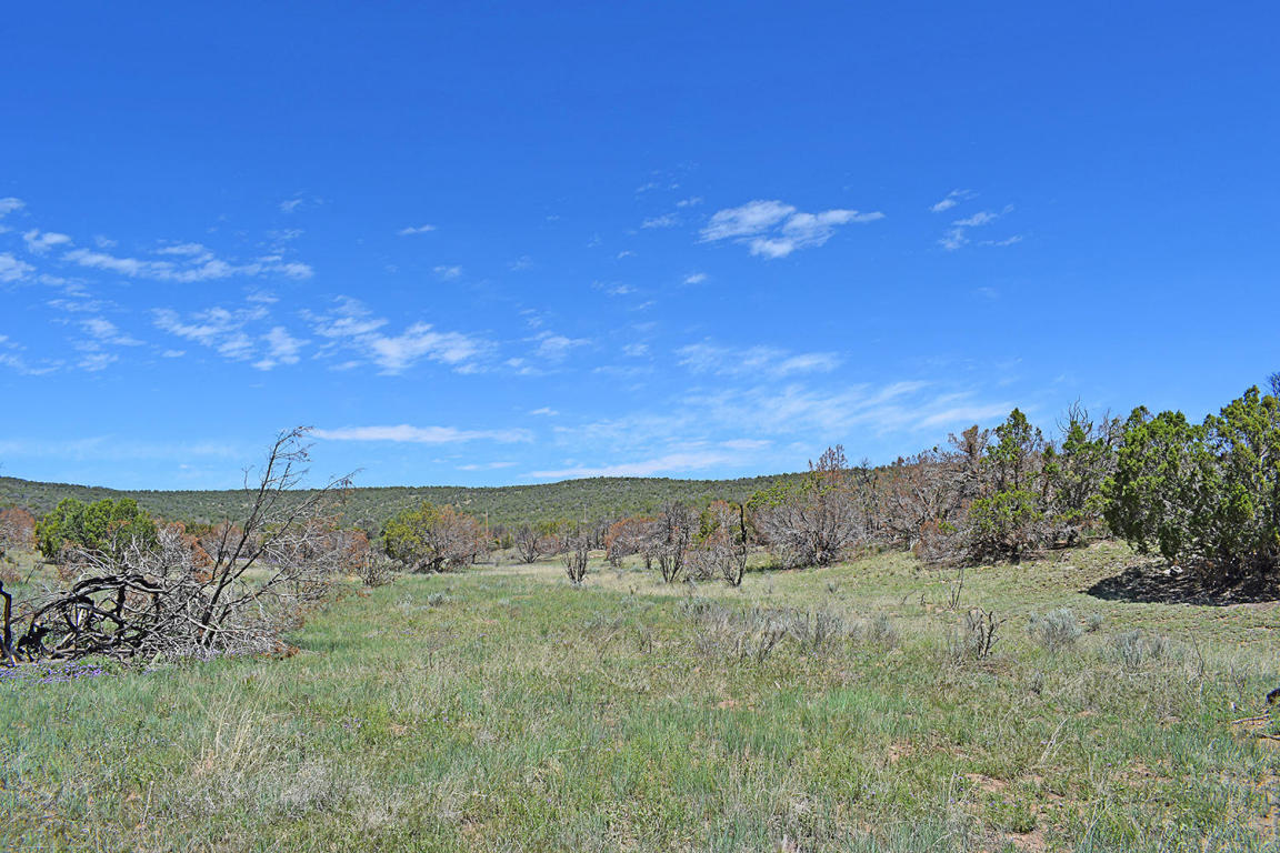Manzano Morning Unit 1 Lot 15, Tajique, NM 87016