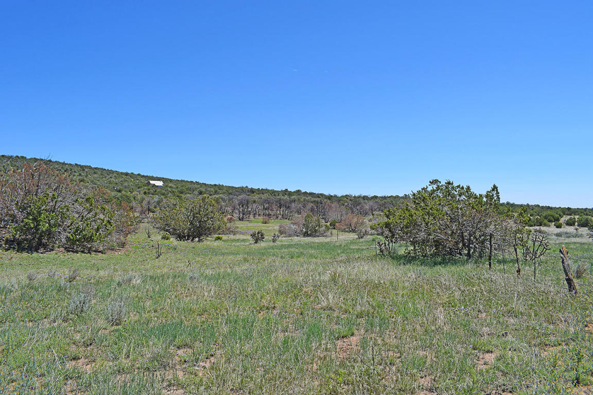 Manzano Morning Unit 1 Lot 15, Tajique, NM 87016