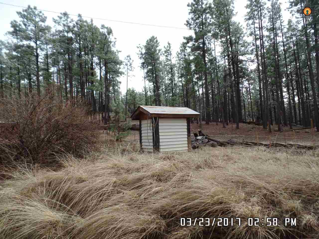 TBD Sassy Ln., Grants, NM 87020