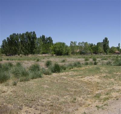 62 Crawford Road, Jarales, NM 87023