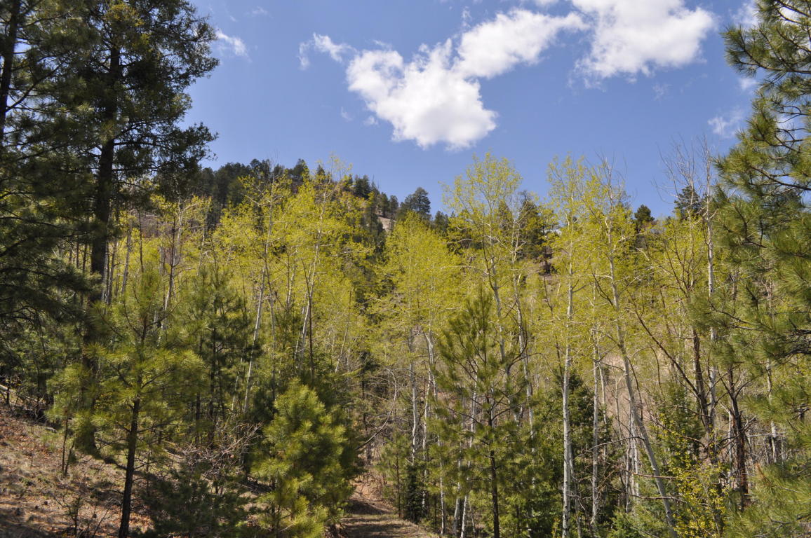 Lot DR5A Cielo Vista Loop, Jemez Springs, NM 87025