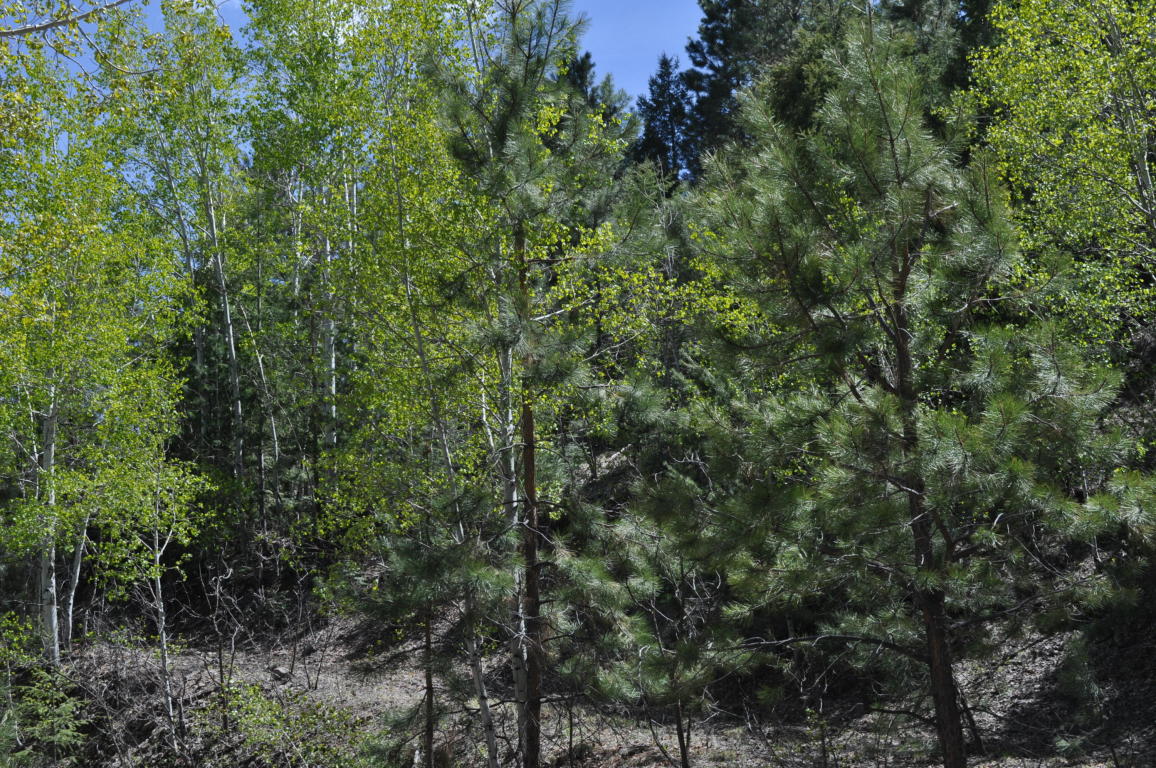 Lot DR5A Cielo Vista Loop, Jemez Springs, NM 87025