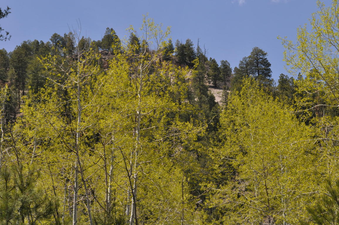 Lot DR5A Cielo Vista Loop, Jemez Springs, NM 87025