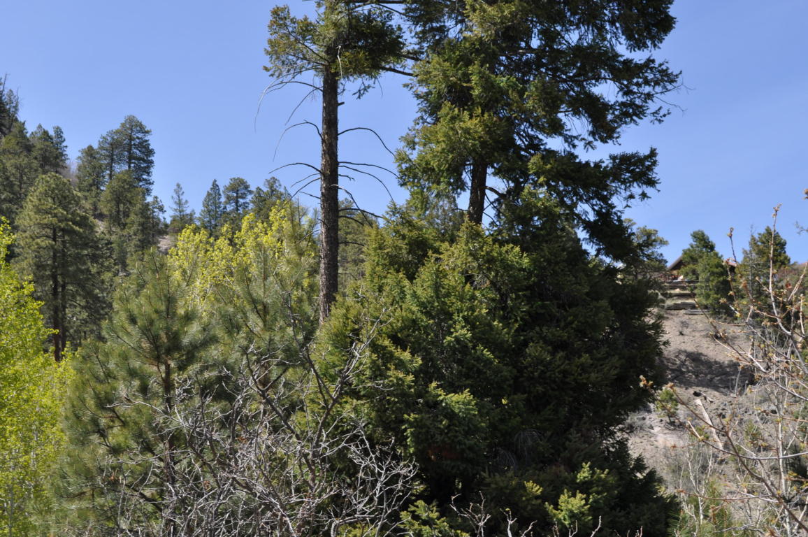 Lot DR5A Cielo Vista Loop, Jemez Springs, NM 87025