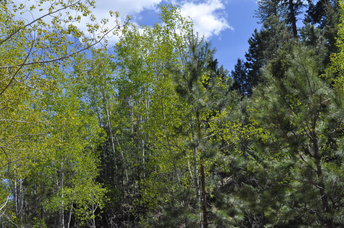 Lot DR5A Cielo Vista Loop, Jemez Springs, NM 87025