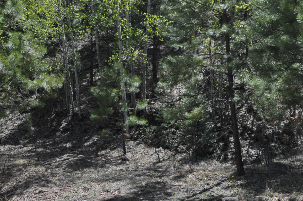 Lot DR5A Cielo Vista Loop, Jemez Springs, NM 87025