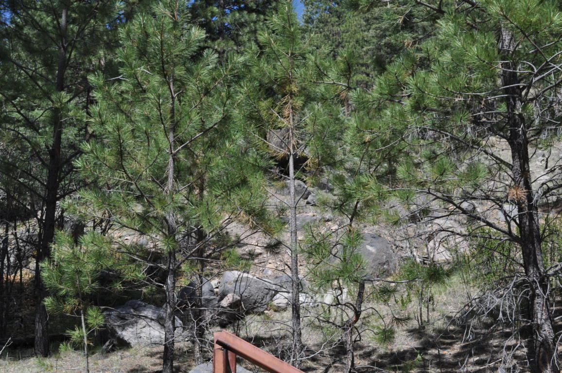 Lot DR5C Cielo Vista Loop, Jemez Springs, NM 87025