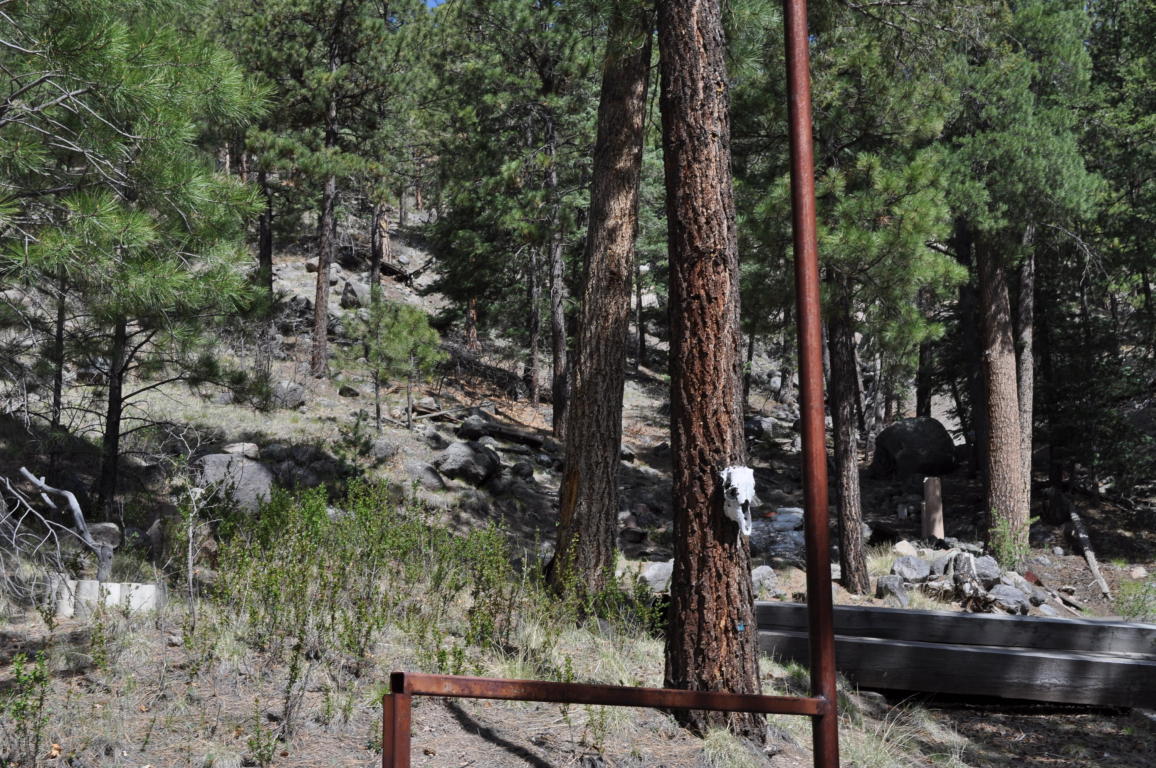 Lot DR5C Cielo Vista Loop, Jemez Springs, NM 87025