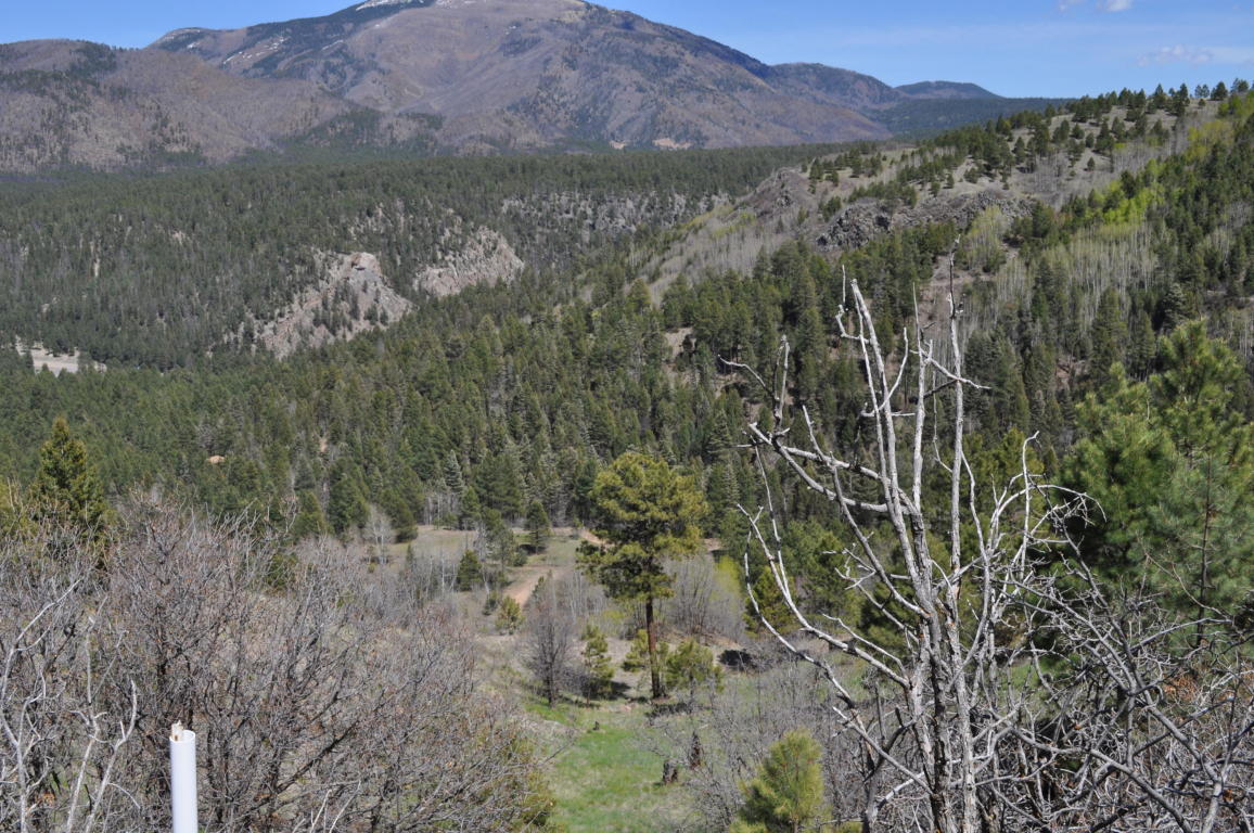 Lot 5D Cielo Vista Loop, Jemez Springs, NM 87025