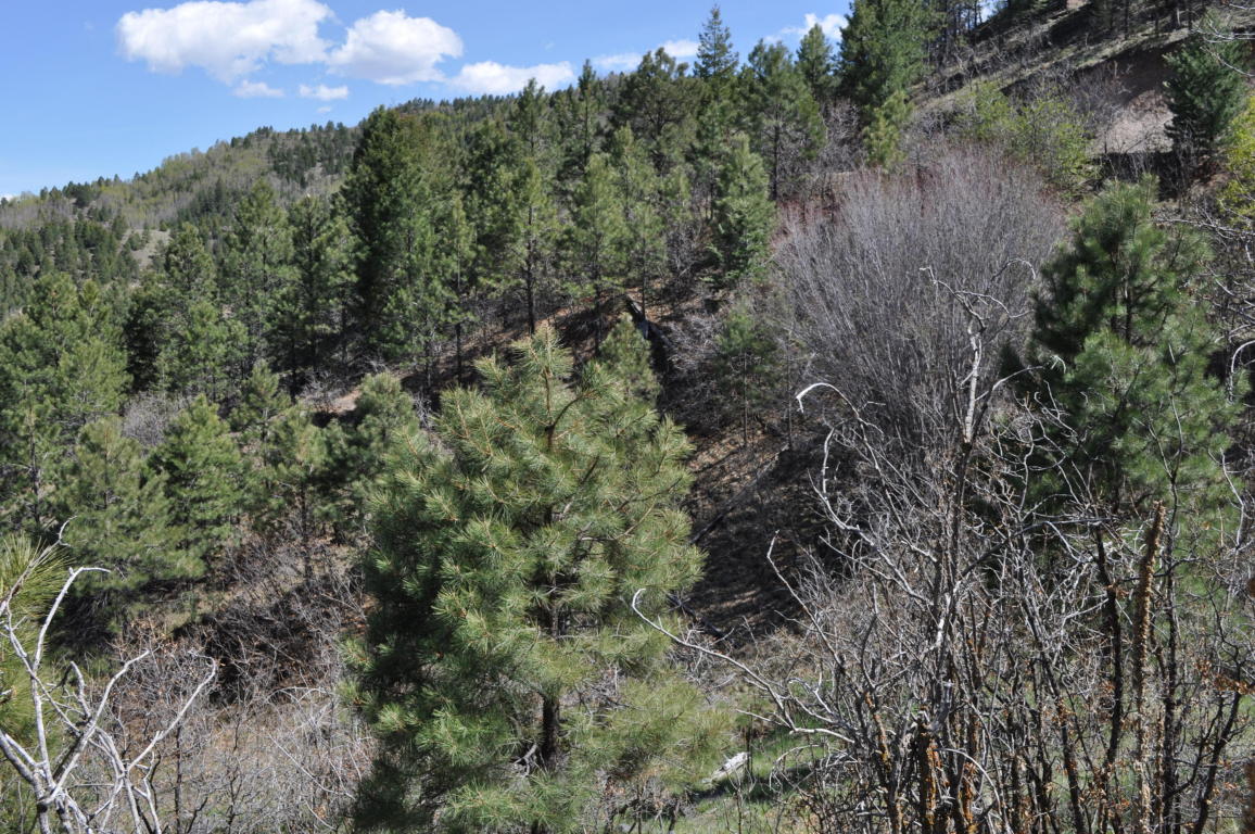 Lot 5D Cielo Vista Loop, Jemez Springs, NM 87025