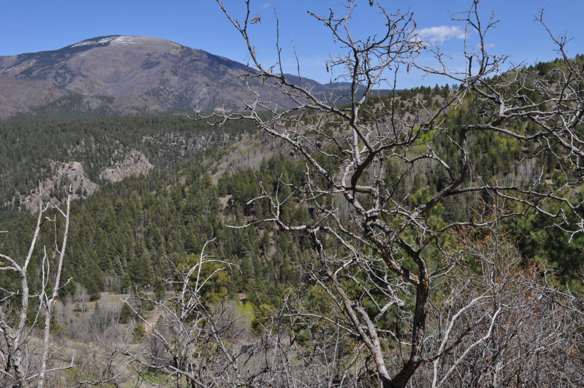 Lot 5D Cielo Vista Loop, Jemez Springs, NM 87025