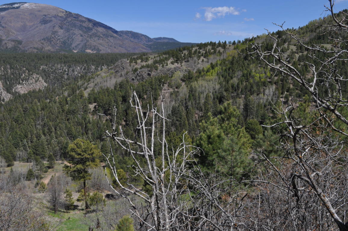 Lot 5D Cielo Vista Loop, Jemez Springs, NM 87025