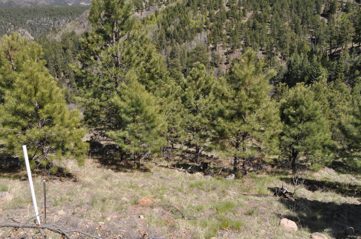 Lot 5C Cielo Vista Loop, Jemez Springs, NM 87025