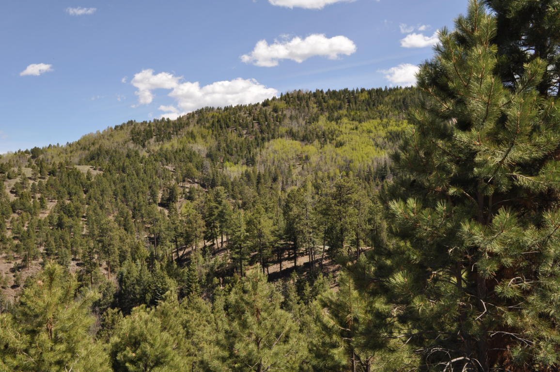 Lot 5C Cielo Vista Loop, Jemez Springs, NM 87025