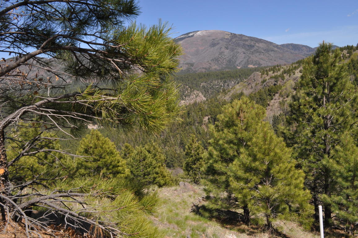 Lot 5C Cielo Vista Loop, Jemez Springs, NM 87025