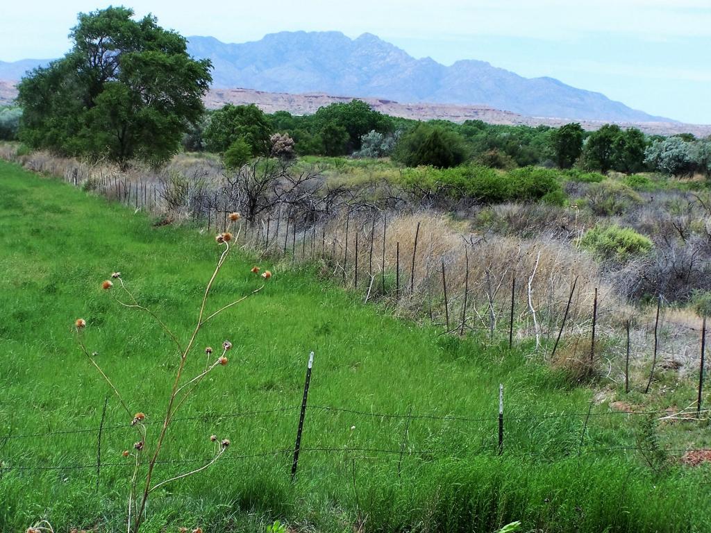 Calle De Centro South, La Joya, NM 87028