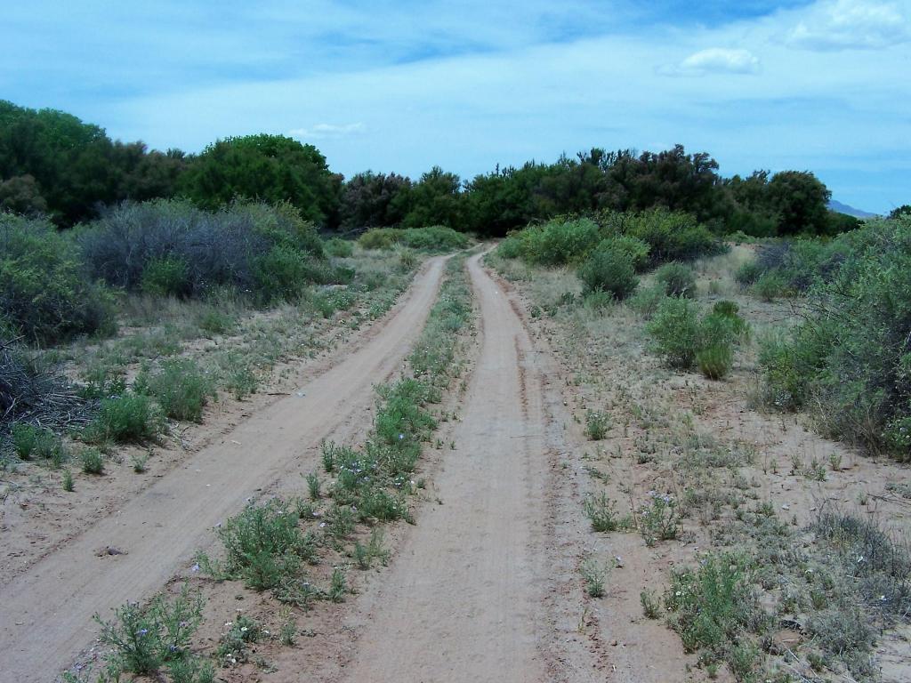Calle De Centro South, La Joya, NM 87028