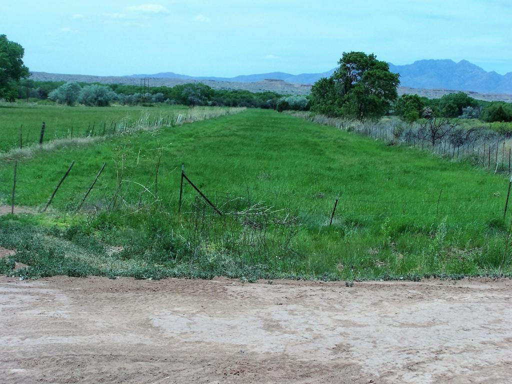 Calle De Centro South, La Joya, NM 87028