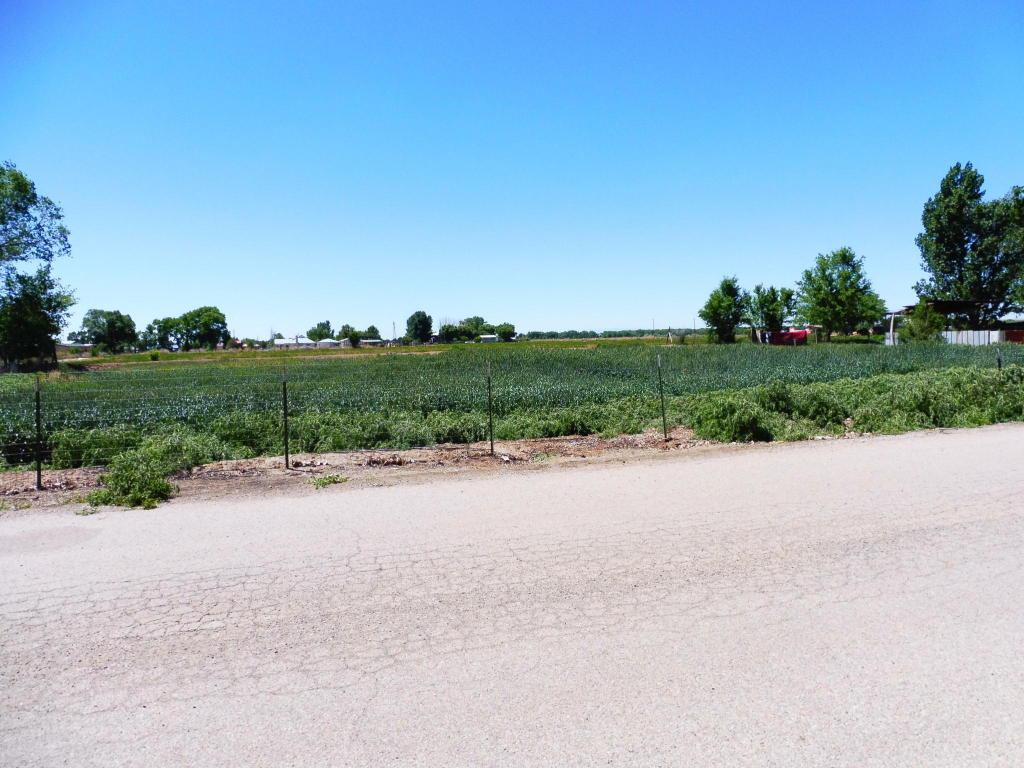 11 Ranchero Road, Los Lunas, NM 87031