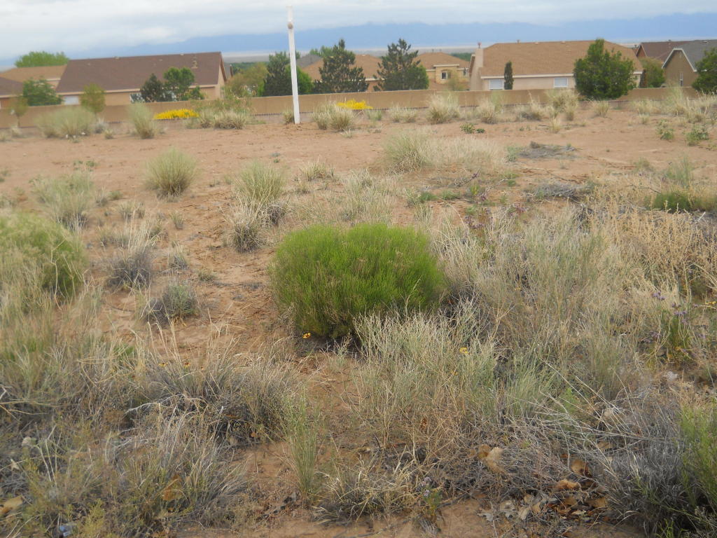 1281 NW Pinzon Street NW, Los Lunas, NM 87031