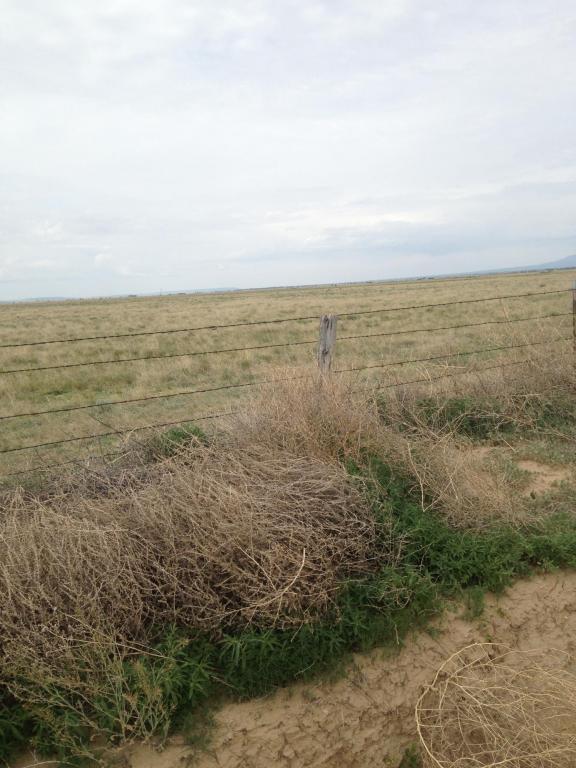 no address available, McIntosh, NM 87032
