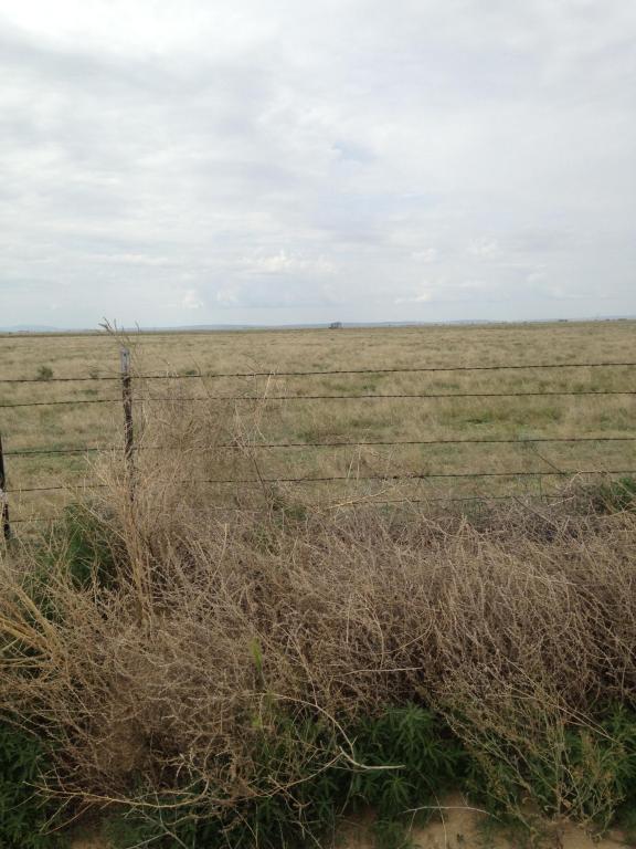no address available, McIntosh, NM 87032