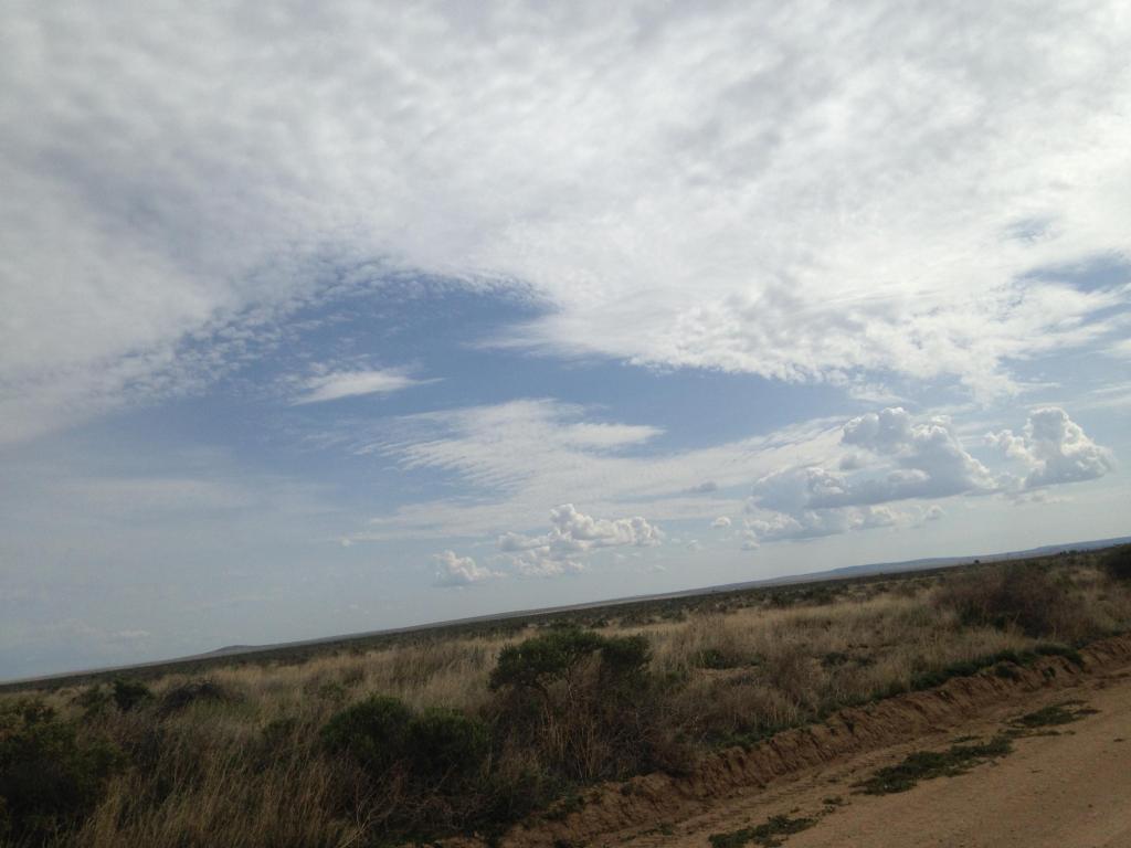 no address available, McIntosh, NM 87032