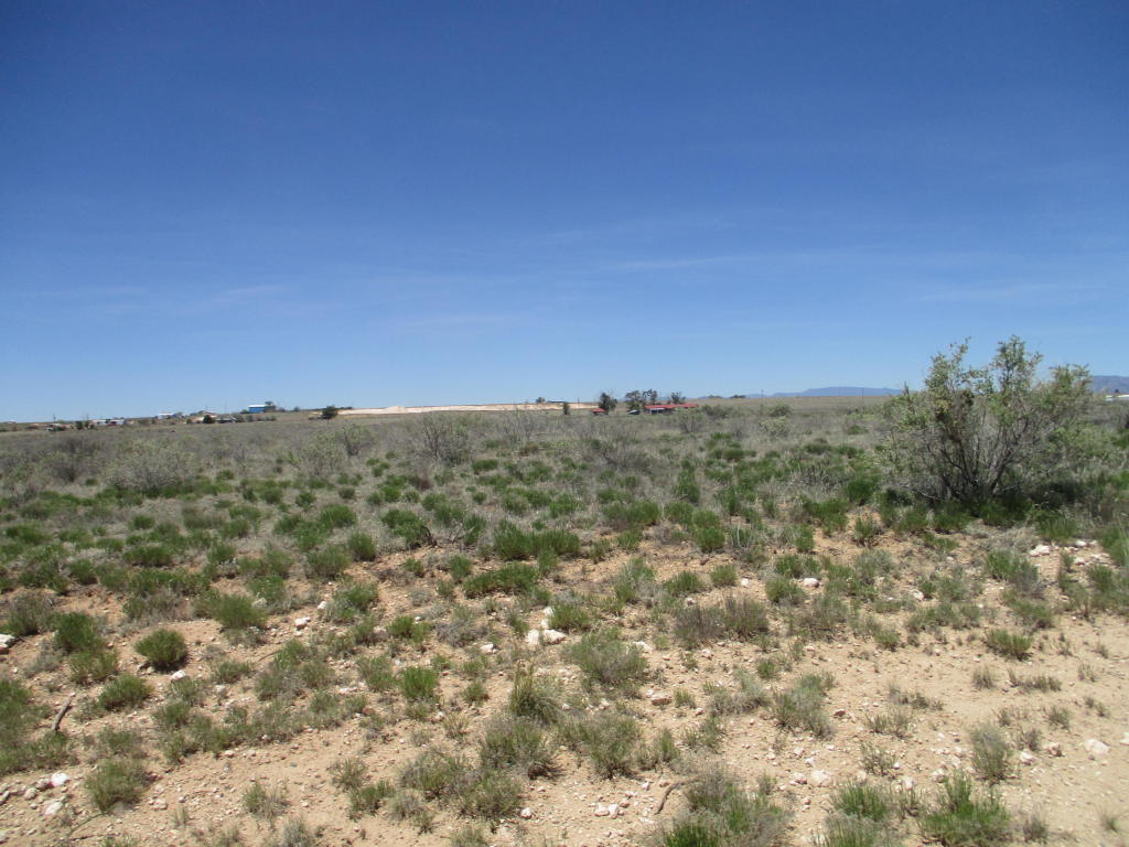 Belgian, Moriarty, NM 87035