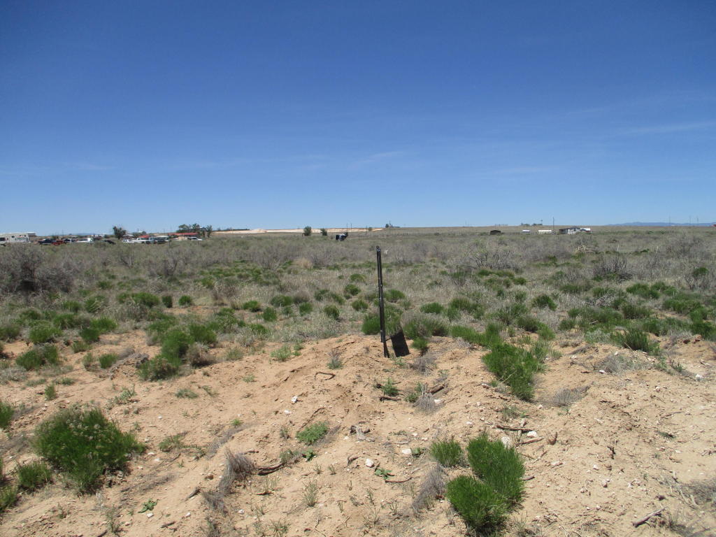 Belgian, Moriarty, NM 87035