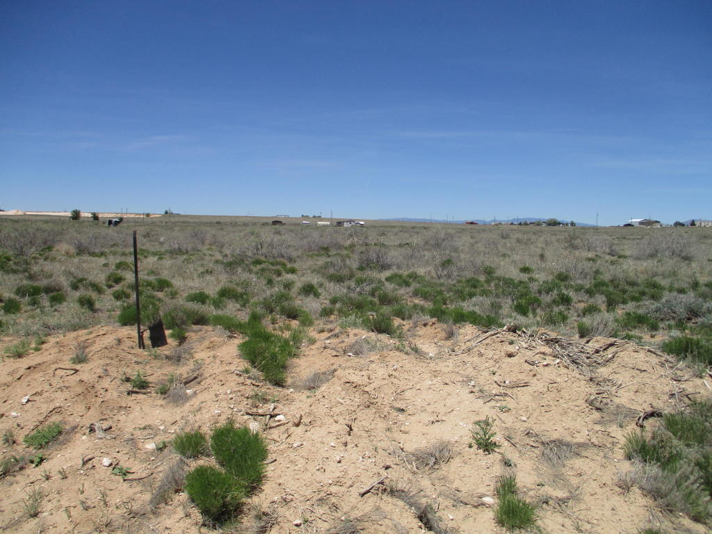 Belgian, Moriarty, NM 87035