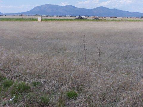 0 Captian Street, Moriarty, NM 87035